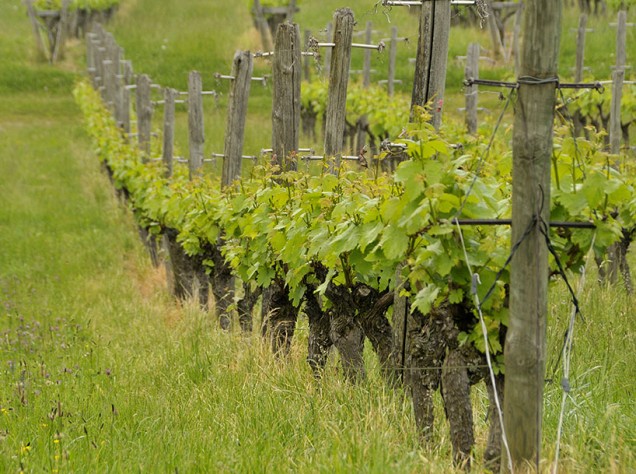 Vins de Savoie
