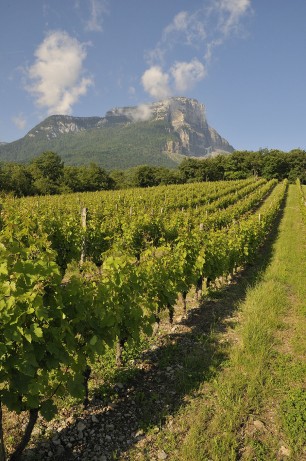 Vins d'Apremont