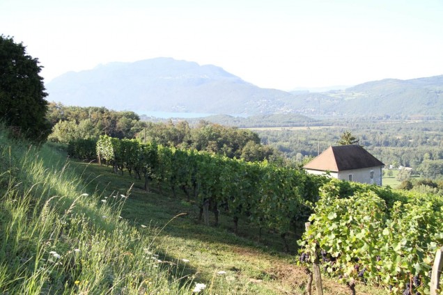 Terroir savoyard