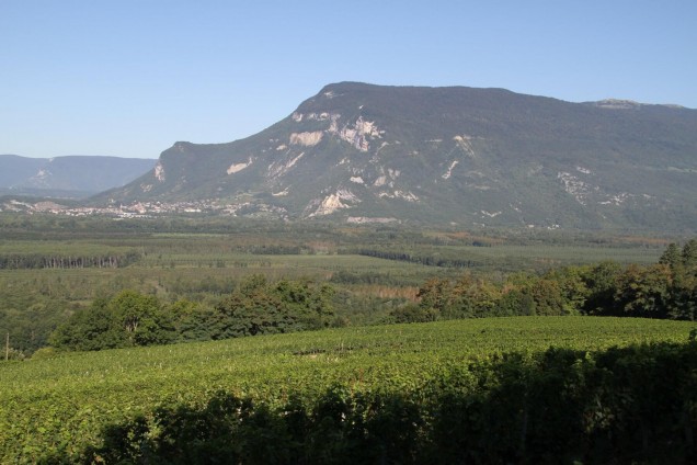 Devenir propriétaire de vignes pour préserver le patrimoine viticole de Savoie