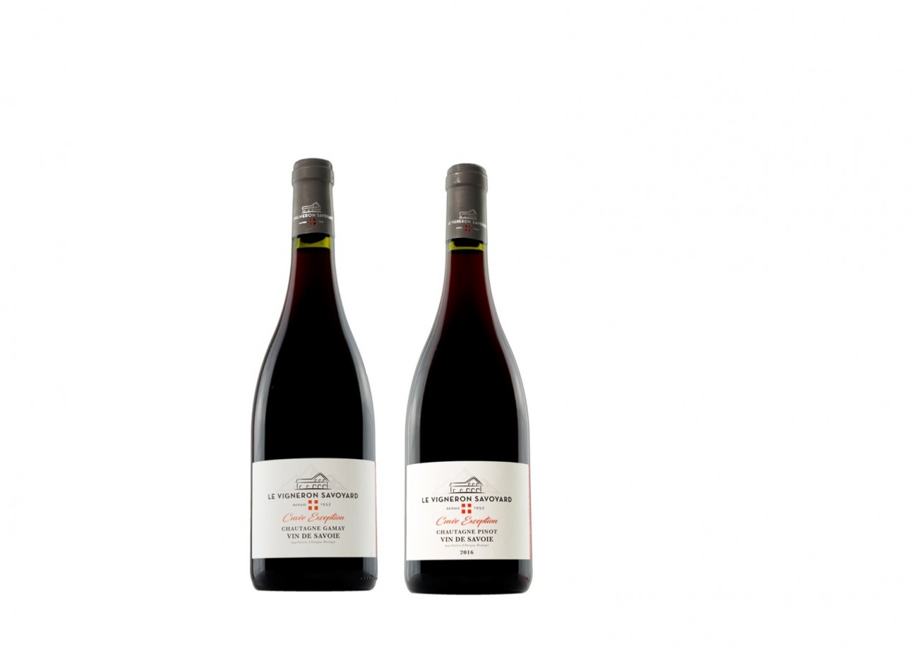 Gamay et Pinot Exception